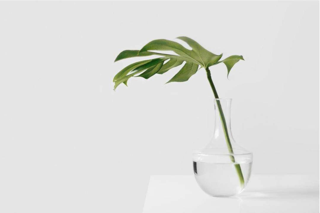 Moodboard warm minimalistisch